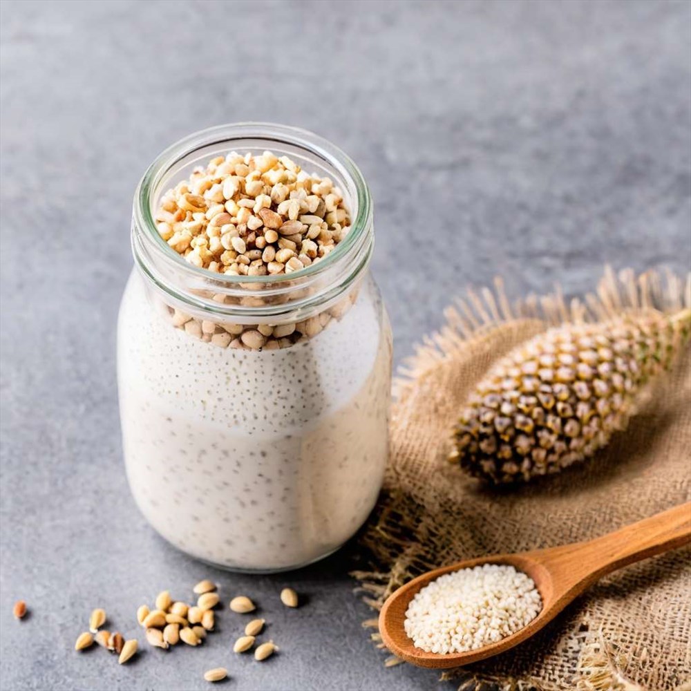 Conservation des Graines de Kéfir